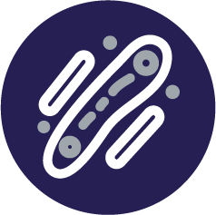 allergie bacterie